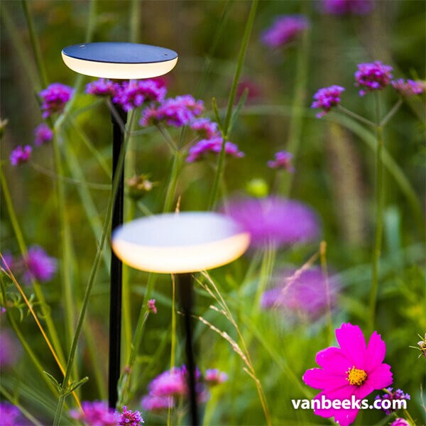 in-lite Sway Light Head Preview